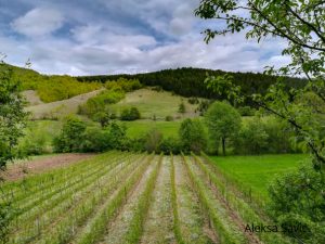 Panorama planine