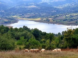 Panorama planine