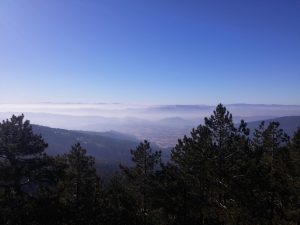 Ugradu.info DIvcibare Valjevo 1