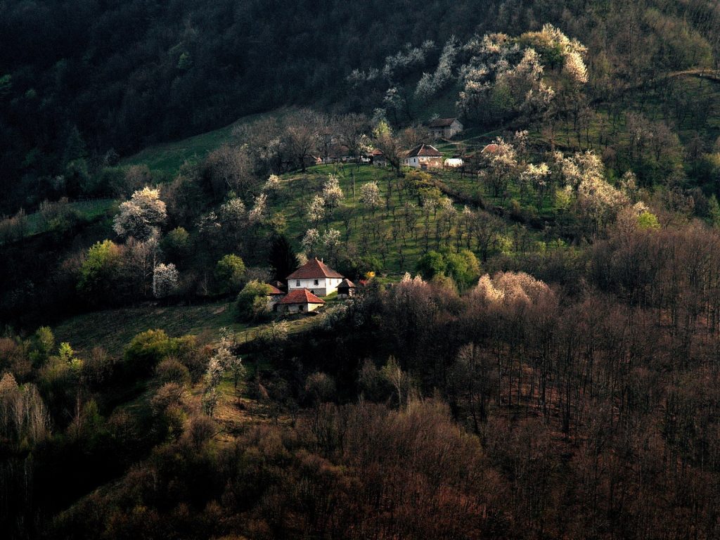 Vesna-Sikic_Leskovice