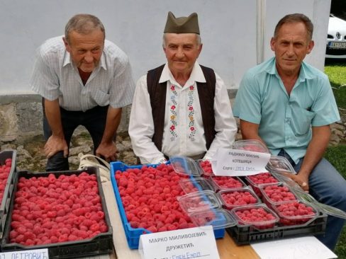 Dani-maline-Brankovina-Valjevo-11-768x576-1