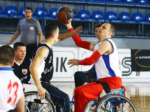 kos-u-kolicima6-1