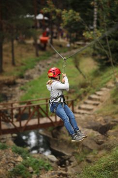 MMF-ZipLine