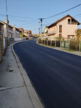 Milivoja-Radosavljevica2