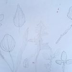 file1679726412276