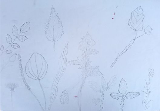 file1679726412276