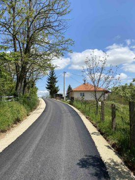Brangovic2