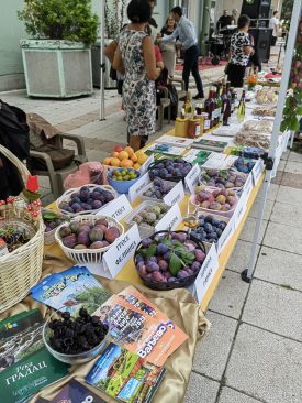 IMG_20230809_180740