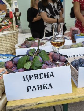 IMG_20230809_181957