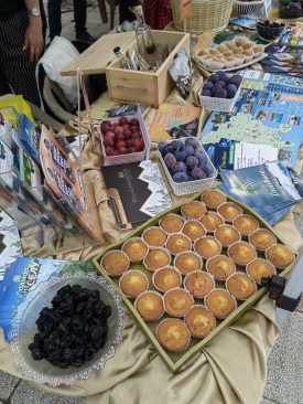 IMG_20230809_182021