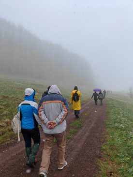 IMG_20240421_110342
