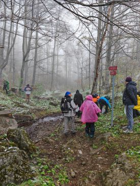 IMG_20240421_112716
