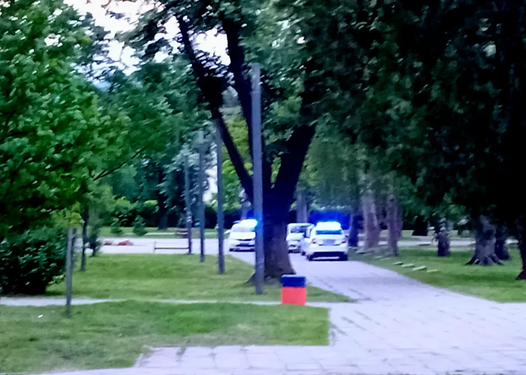Punjava-Peti-puk-Valjevo