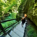 IMG-6ec136bba0ed97746a17ca8935d2e5b1-V-310x413