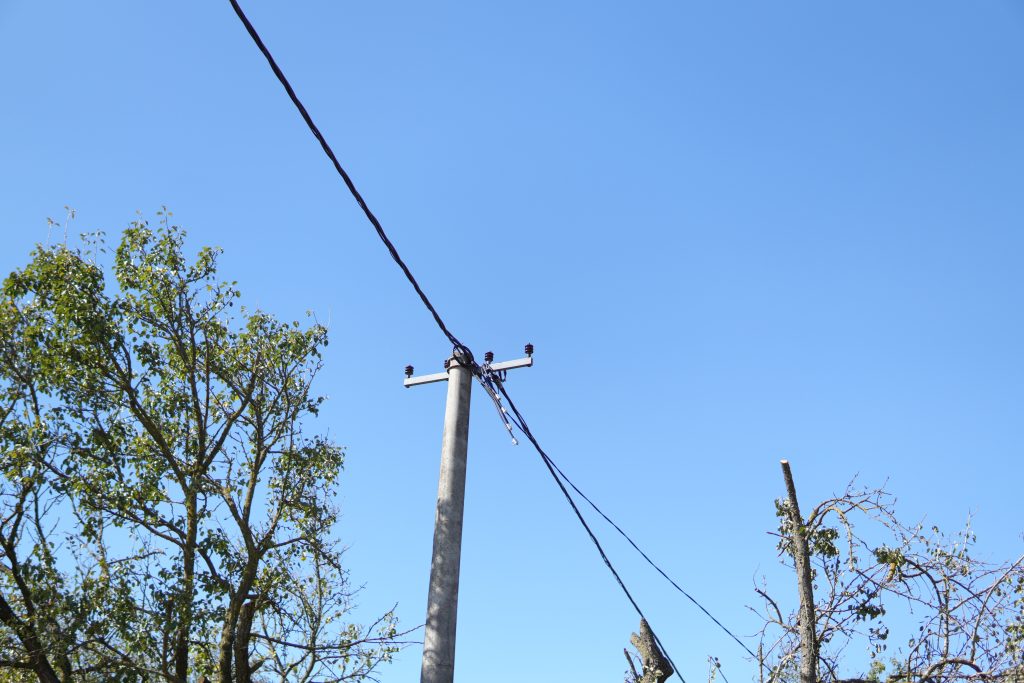 DSC03502
