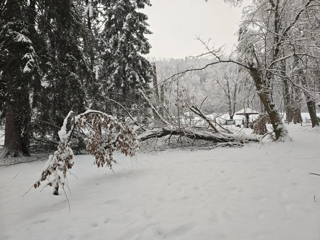 Park-Pecina-Valjevo-1536x1152